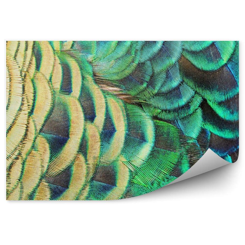 Tapisserie panoramique Plumes de paon vert