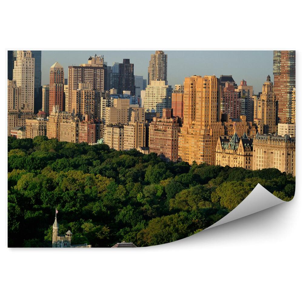 Papier peint Château du Belvédère Arbres Gratte-ciel Vue de la ville de New York