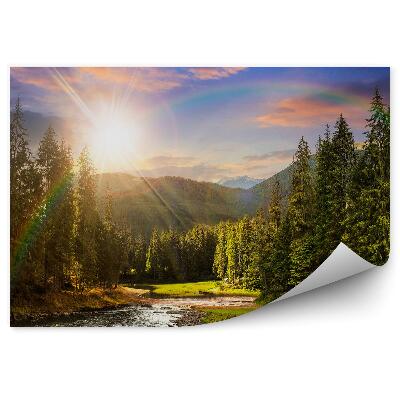 Papier peint Forêt De Pins