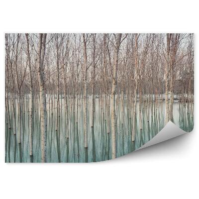 Papier peint Bouleaux dans un village inondé motif naturel