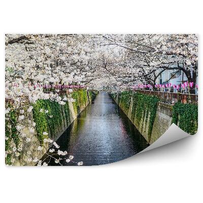 Papier peint canal meguro fleurs printemps arbres tokyo