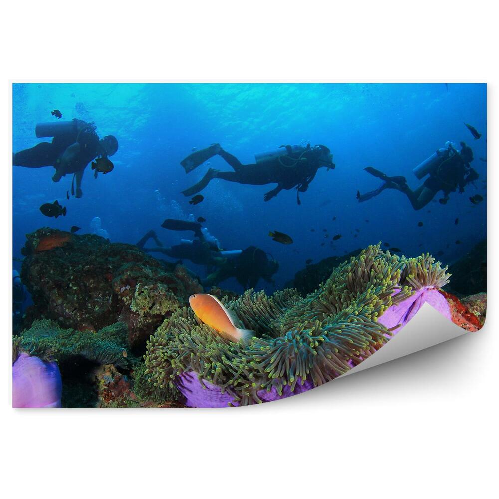 Papier peint Poisson anémone de plongée