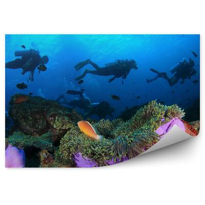Papier peint Poisson anémone de plongée