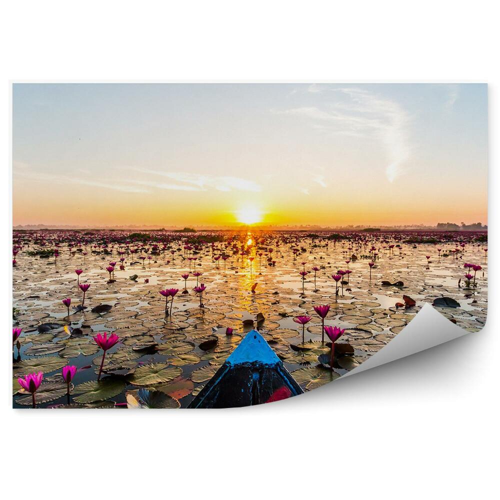 Papier peint Bateau sur un lac nénuphars et coucher de soleil