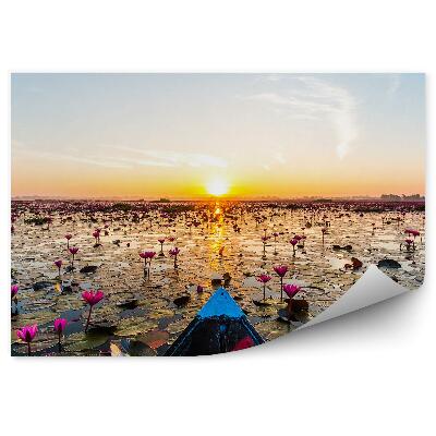 Papier peint Bateau sur un lac nénuphars et coucher de soleil