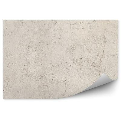 Papier peint Mur en béton fissuré et délavé