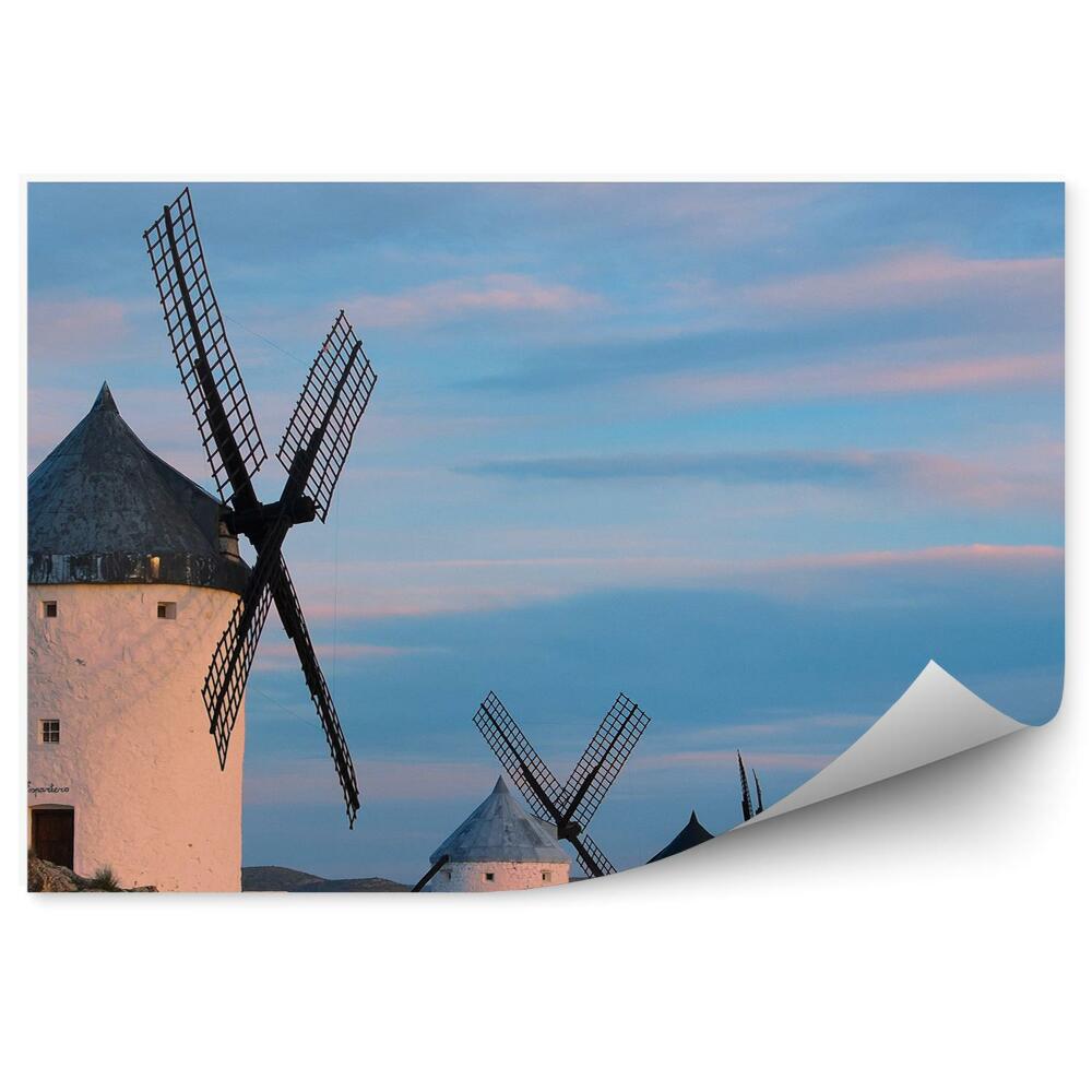 Papier peint Moulins à vent nature architecture