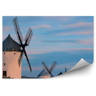 Papier peint Moulins à vent nature architecture