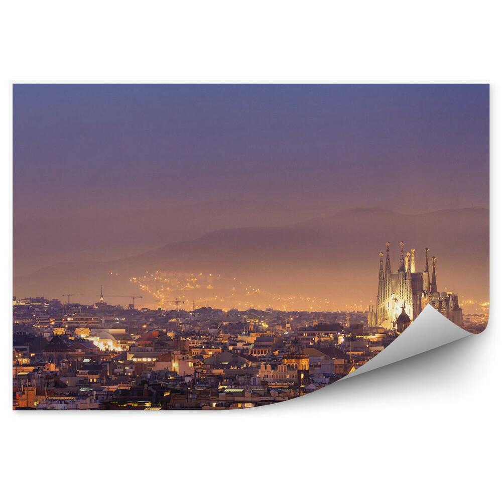 Papier peint Barcelone Bâtiments Cathédrale Vue de nuit