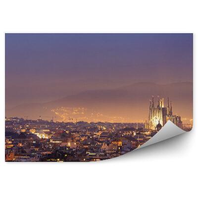 Papier peint Barcelone Bâtiments Cathédrale Vue de nuit