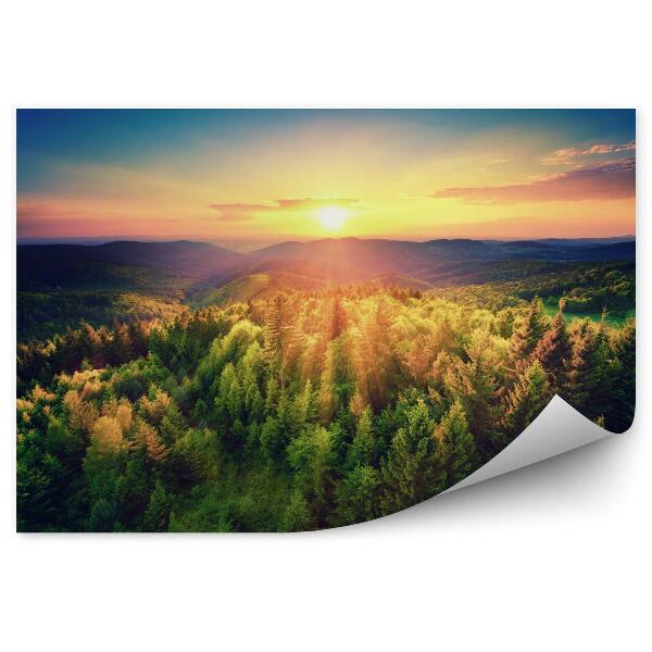 Papier peint Coucher de soleil sur une forêt