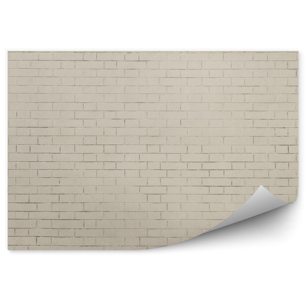Papier peint Mur De Briques Beige