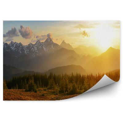 Papier peint Forêt de montagne au lever du soleil