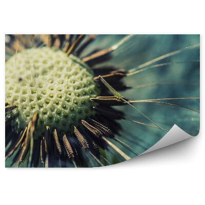 Papier peint Graines de souffleur