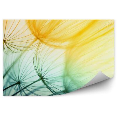 Papier peint Graines de fleurs de moucheron