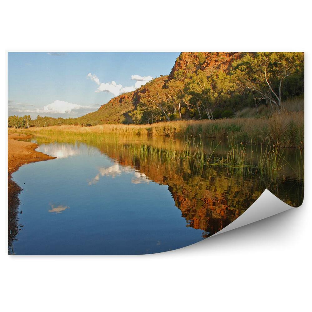 Papier peint Rivière Nature Végétation Sable Roches Arbres
