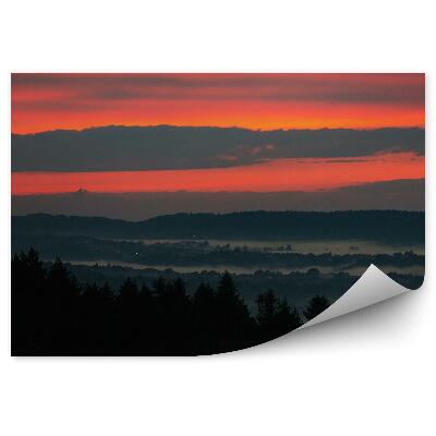 Papier peint Coucher De Soleil Arbres Conifères Brume