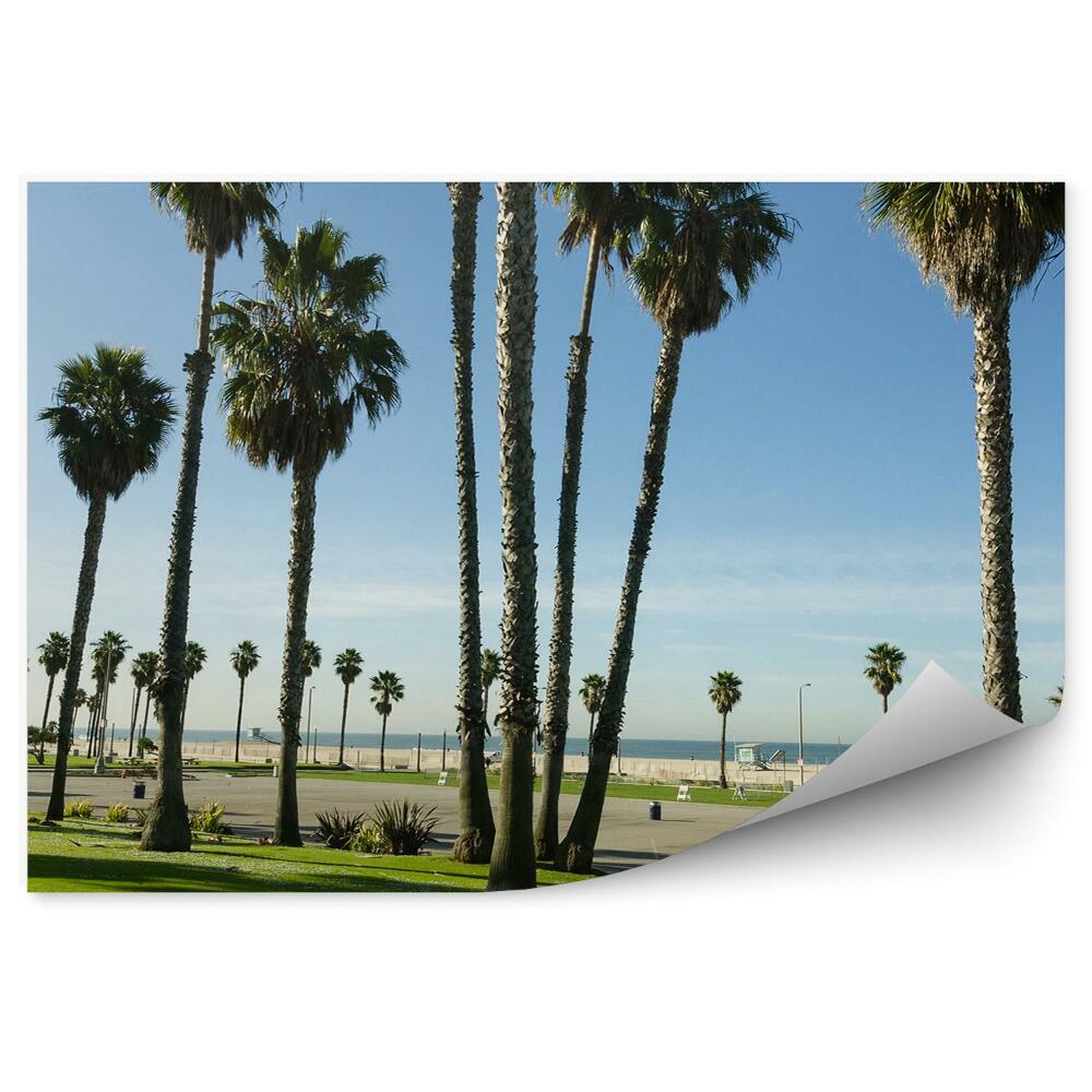 Papier peint Palms Sky Road Ocean Palms Californie