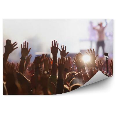 Papier peint Concert People Crowd Music Fun