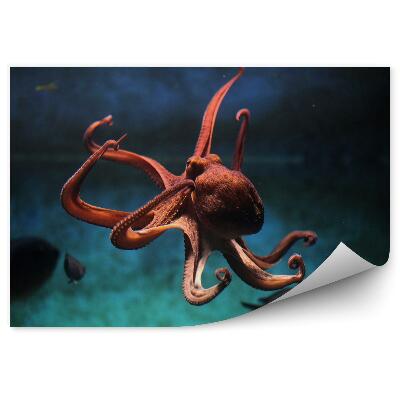 Tapisserie panoramique Pieuvre commune