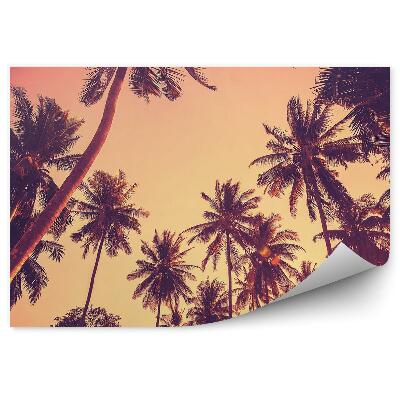 Papier peint Silhouettes de palmiers au coucher du soleil Vintage