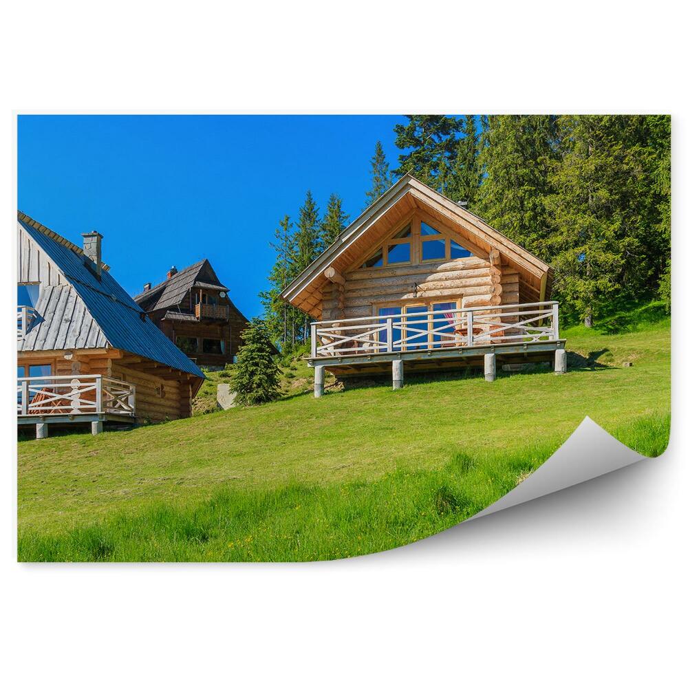 Papier peint Maisons en bois Prairie verte Été Montagnes Tatra