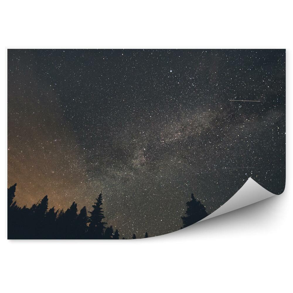 Papier peint Etoiles Breckenridge Forêt Ombres Ciel Voie Lactée