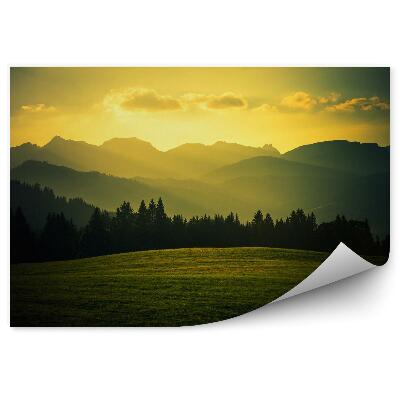 Papier peint panoramique Clairière de montagne pittoresque