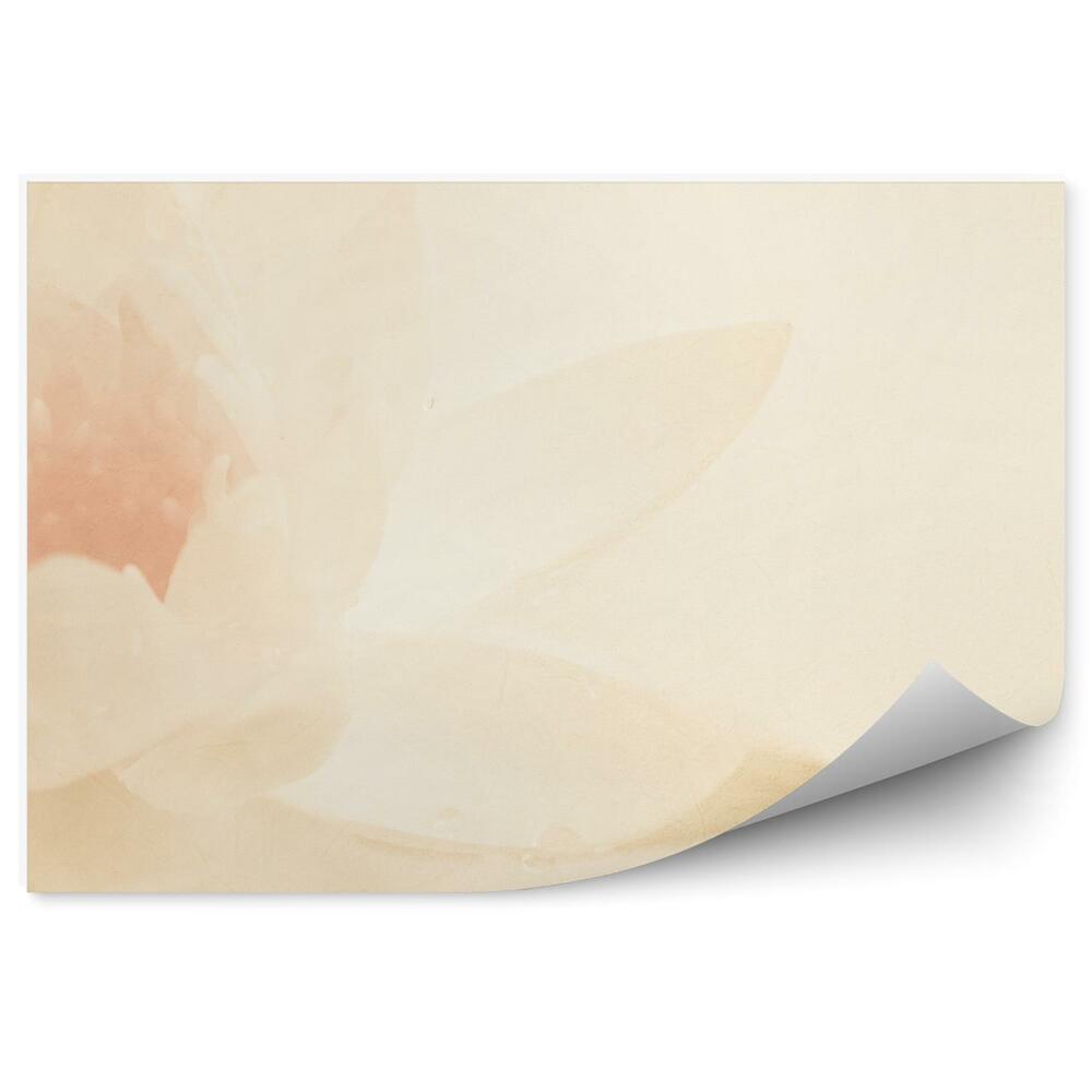 Papier peint Fleur de lotus blanche fond crème