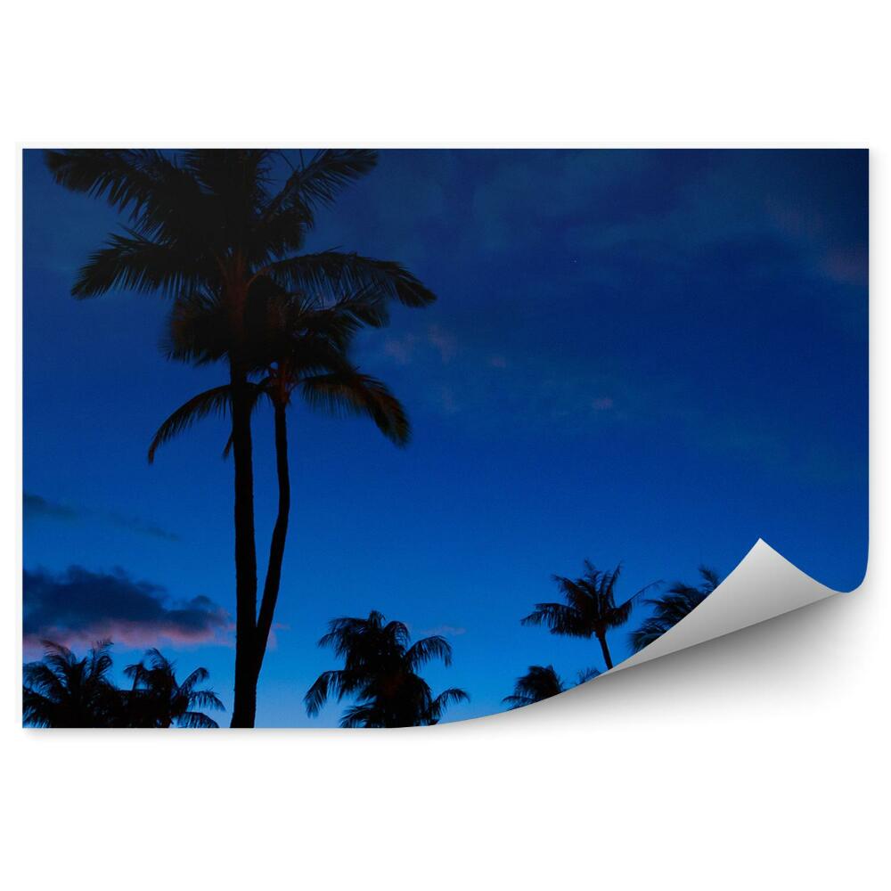 Papier peint Palmes Nuit Ciel Nuages
