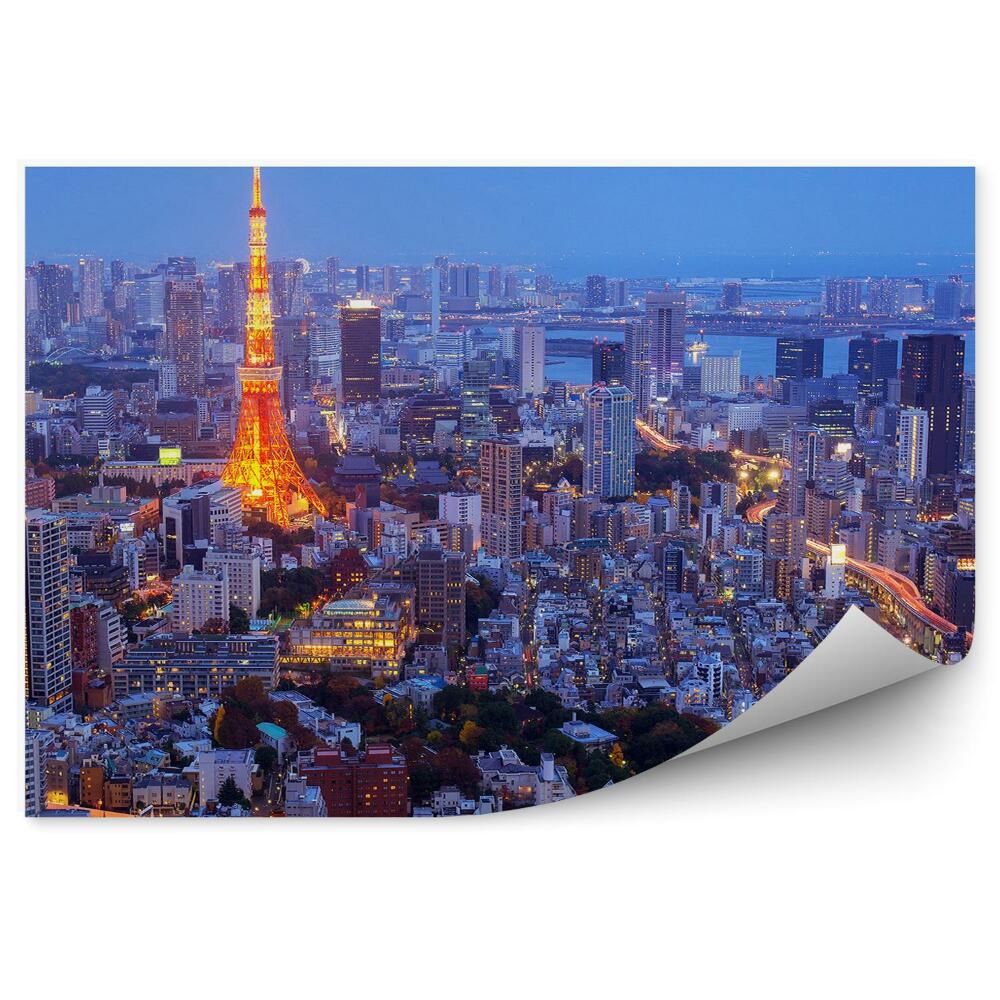 Papier peint Vue d'oiseau de nuit Tokyo