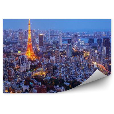 Papier peint Vue d'oiseau de nuit Tokyo