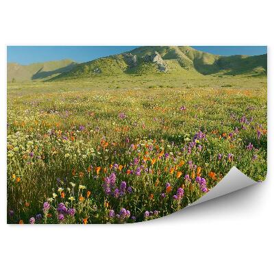 Papier peint Fleurs Colorées Prairie Montagnes Herbe Ciel