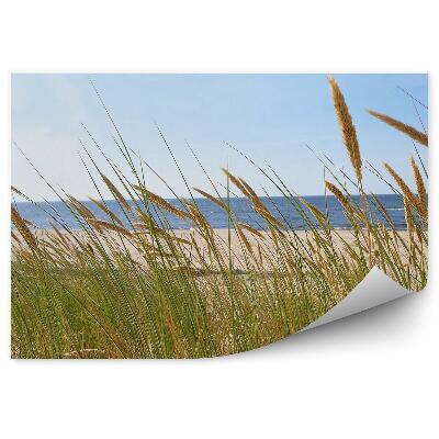 Papier peint Herbe verte sur fond de mer bleue Plage