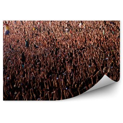 Papier peint Foule Concert Personnes Musique