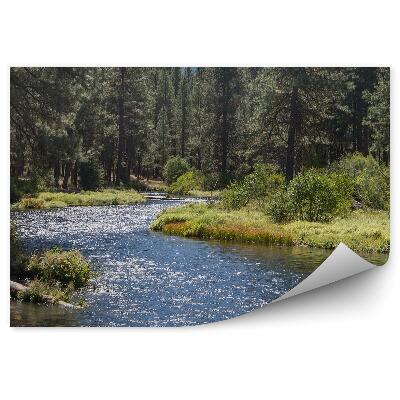 Papier peint Rivière Arbre de Noël Montagne Nature