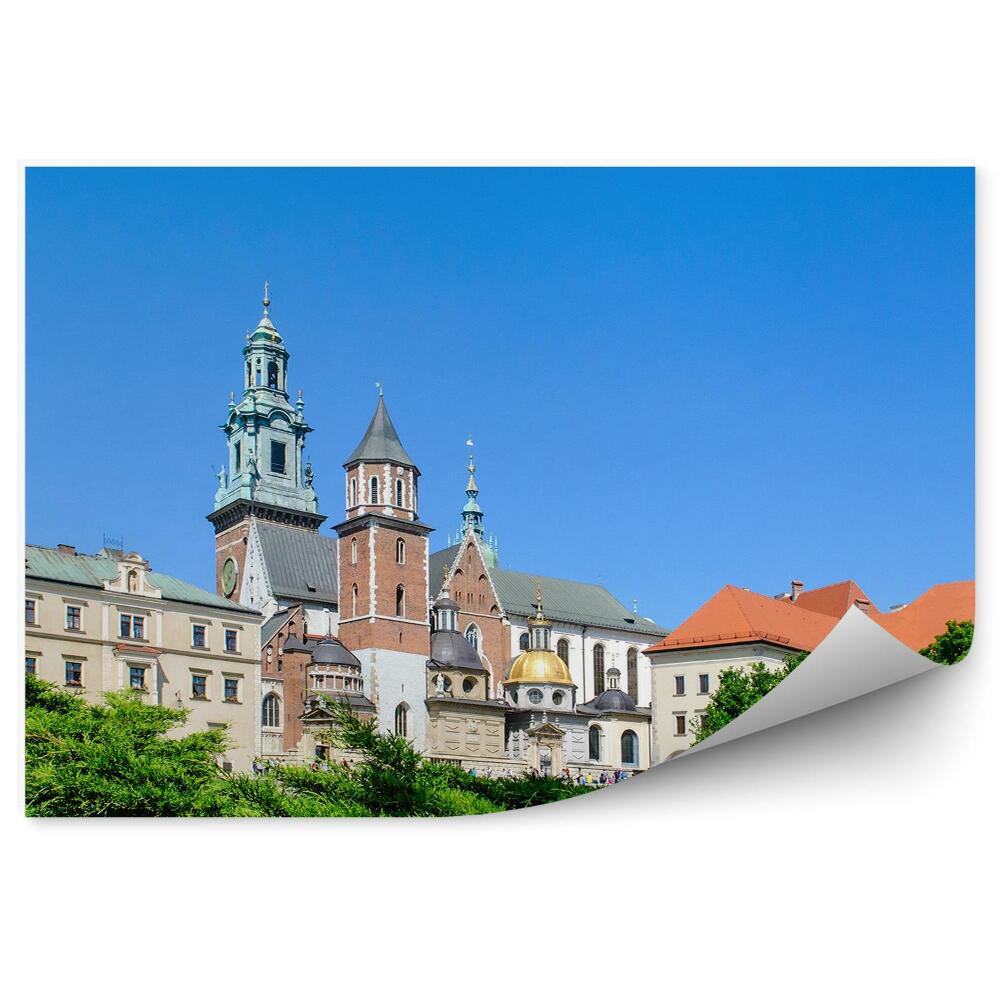 Papier peint Cathédrale du Wawel Arbres Plantes Ciel Cracovie