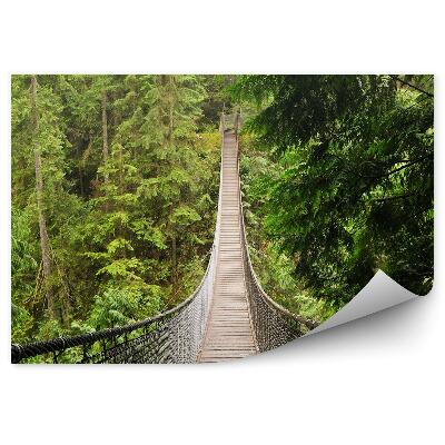 Papier peint Lynn Forêt De Conifères Pont De Corde