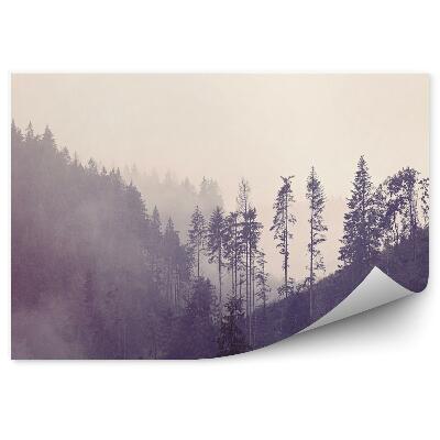 Papier peint Forêt brumeuse