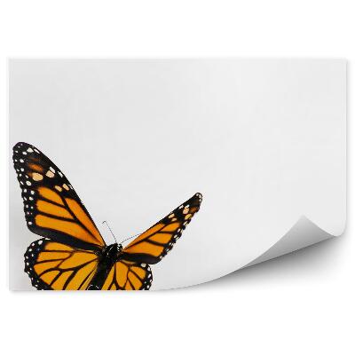 Papier peint Papillon Noir Ailes Orange Taches Blanches