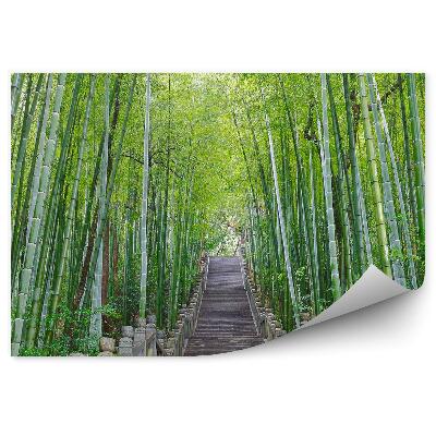 Papier peint Escalier en pierre Forêt de bambous Arbres