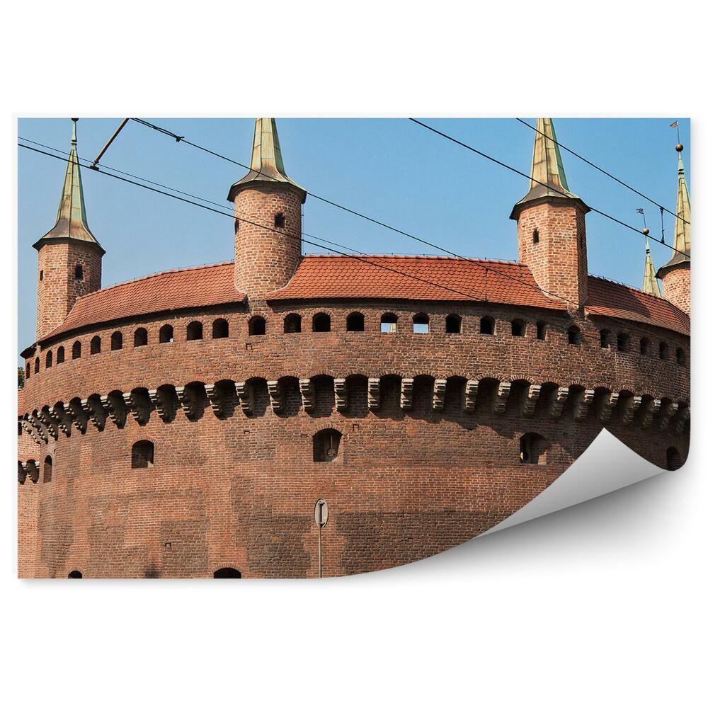 Papier peint Barbacane Cracovie Arbres