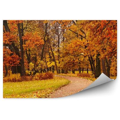 Papier peint Parc d'automne coloré Arbres Chemin