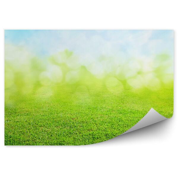 Papier peint Herbe Nature Vert Bleu Abstrait