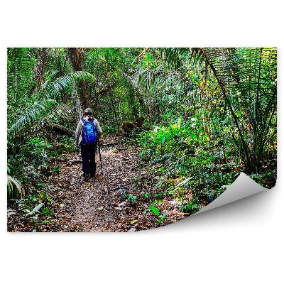 Papier peint Voyageur Jungle Randonnée Feuilles Vertes