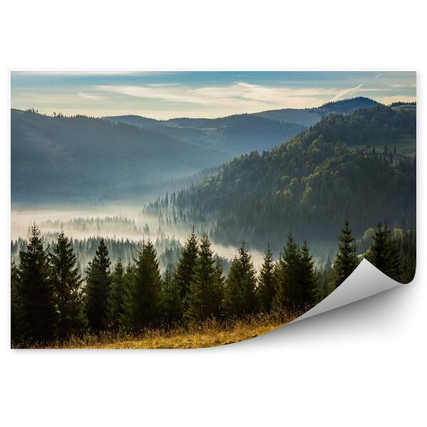 Papier peint Forêt de conifères dans les montagnes brumeuses au lever du soleil