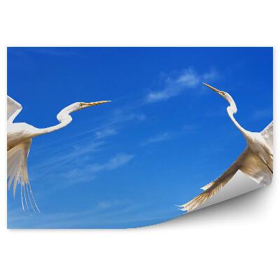 Papier peint Deux Grues Volantes Sur Fond De Ciel