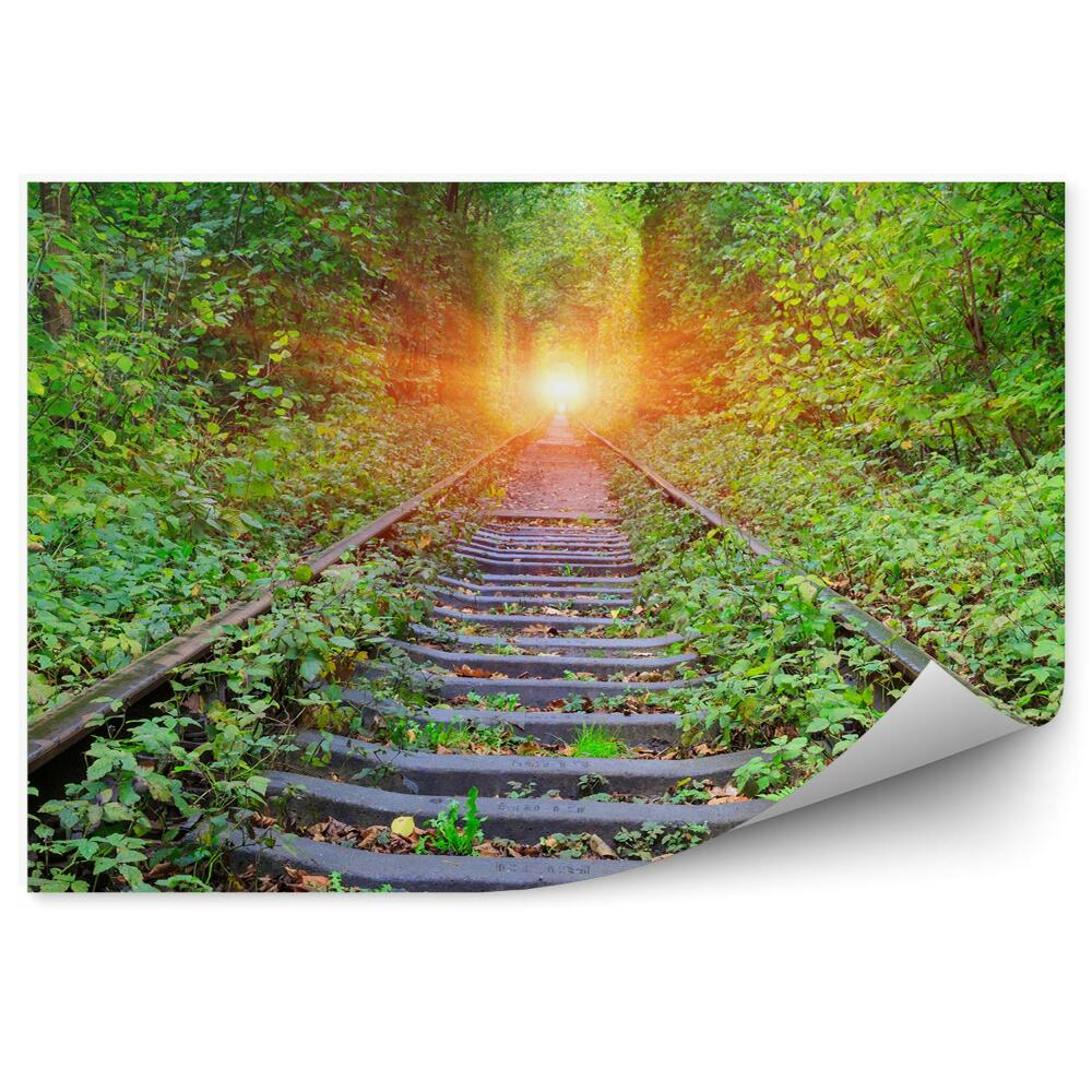 Papier peint Chemins de fer en forêt soleil nature