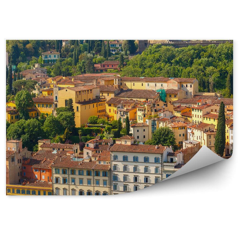 Papier peint Oltrarno Fort Belvédère Florence Arbres Plantes