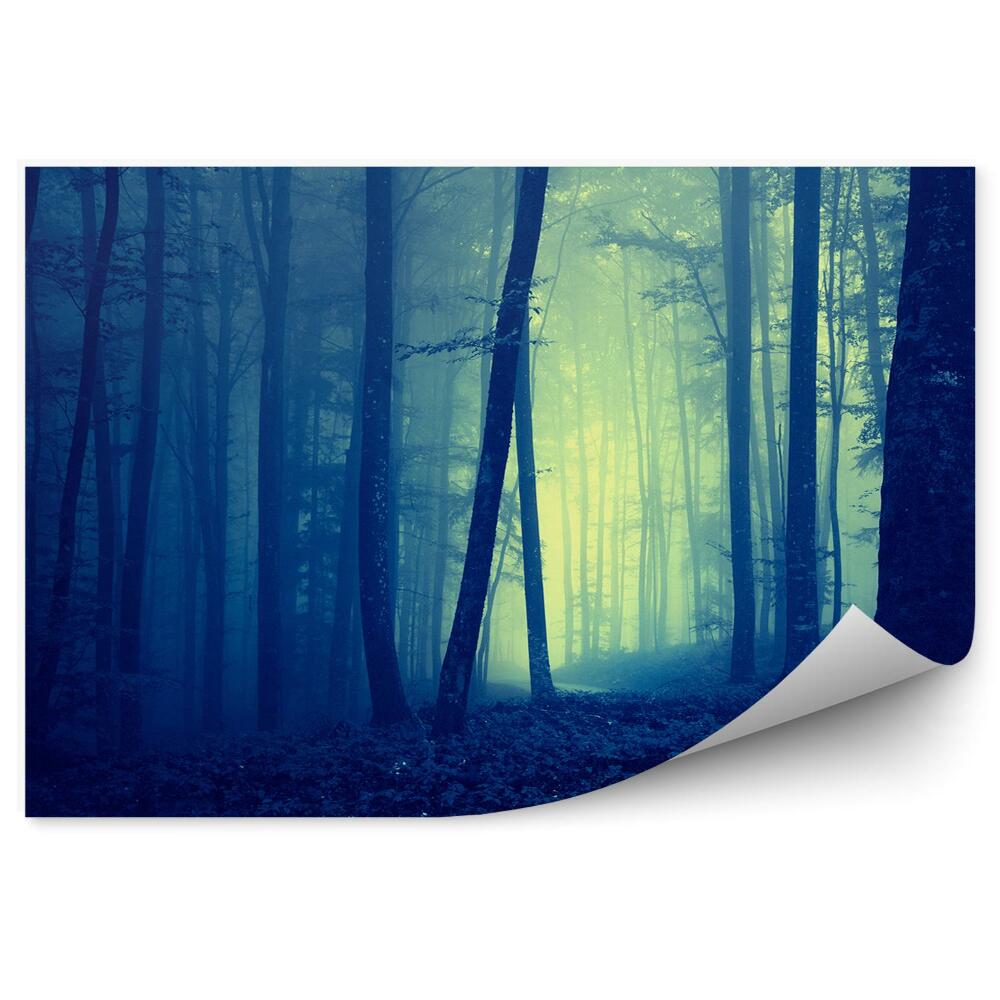 Papier peint Brouillard De Forêt Bleu Foncé